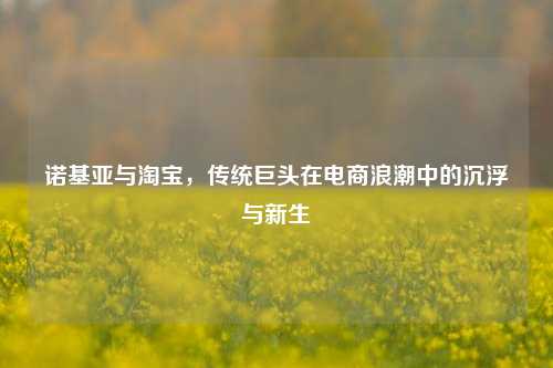 诺基亚与淘宝,传统巨头在电商浪潮中的沉浮与新生