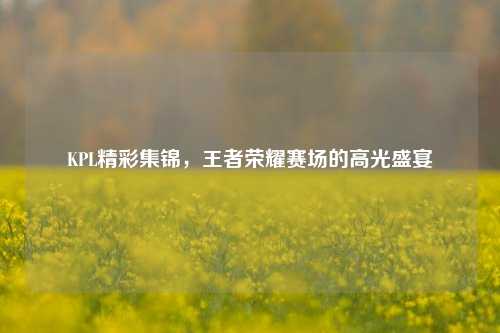 KPL精彩集锦，王者荣耀赛场的高光盛宴