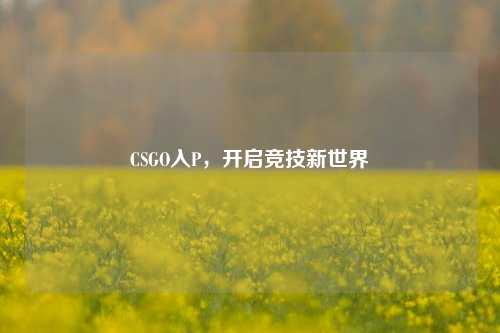 CSGO入P，开启竞技新世界