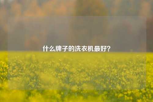 什么牌子的洗衣机最好？