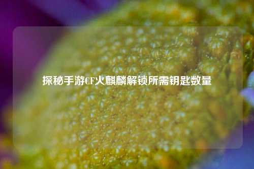 探秘手游CF火麒麟解锁所需钥匙数量