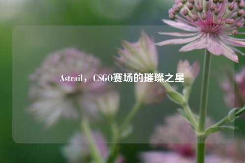 Astrail，CSGO赛场的璀璨之星