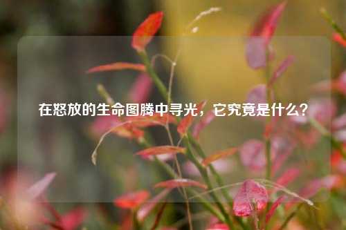 在怒放的生命图腾中寻光,它究竟是什么?