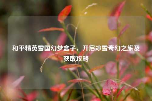 和平精英雪国幻梦盒子,开启冰雪奇幻之旅及获取攻略