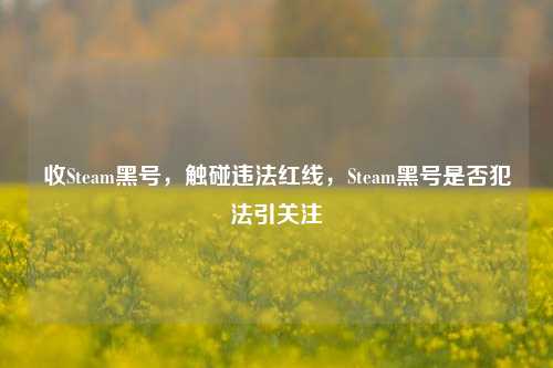 收Steam黑号,触碰违法红线,Steam黑号是否犯法引关注