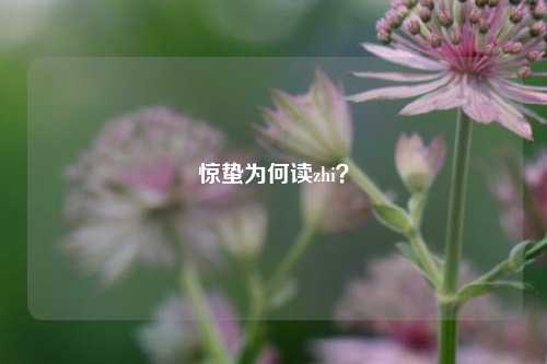 惊蛰为何读zhi？