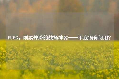 PUBG,刚柔并济的战场神器——平底锅有何用?