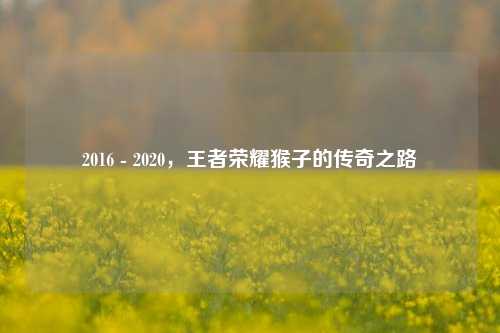 2016 - 2020，王者荣耀猴子的传奇之路
