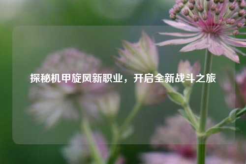 探秘机甲旋风新职业,开启全新战斗之旅