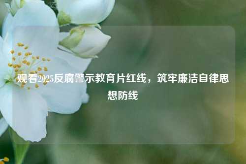 观看2025反腐警示教育片红线，筑牢廉洁自律思想防线