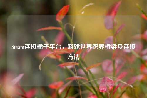 Steam连接橘子平台,游戏世界跨界桥梁及连接方法