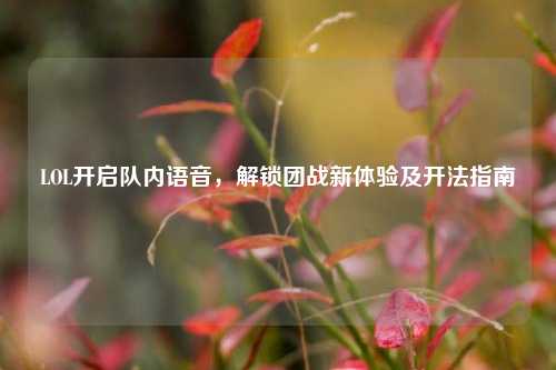 LOL开启队内语音，解锁团战新体验及开法指南