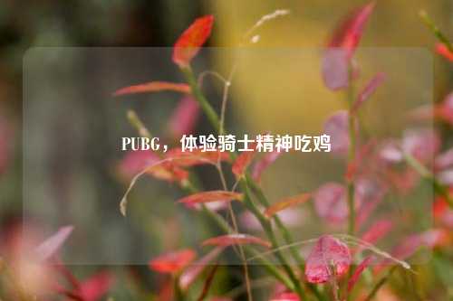 PUBG，体验骑士精神吃鸡
