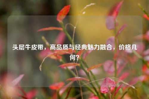 头层牛皮带，高品质与经典魅力融合，价格几何？