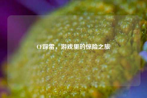 CF踩雷,游戏里的惊险之旅