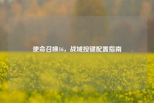 使命召唤16,战域按键配置指南