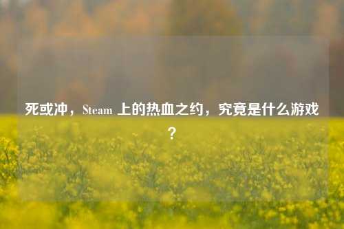 死或冲，Steam 上的热血之约，究竟是什么游戏？