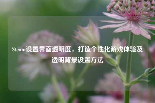 Steam设置界面透明度，打造个性化游戏体验及透明背景设置方法