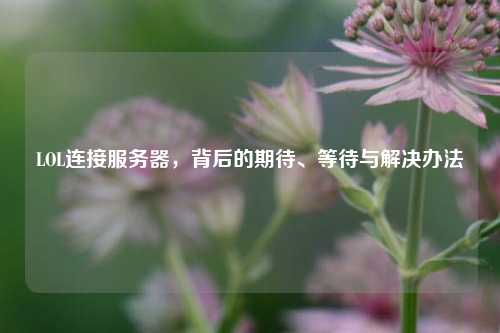 LOL连接服务器，背后的期待、等待与解决办法