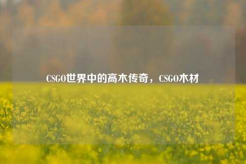 CSGO世界中的高木传奇,CSGO木材