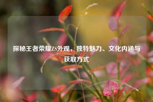 探秘王者荣耀ZS外观，独特魅力、文化内涵与获取方式