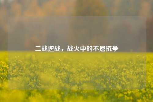 二战逆战，战火中的不屈抗争