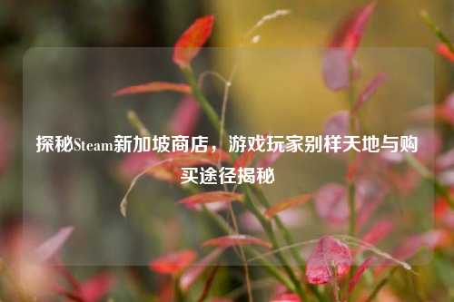 探秘Steam新加坡商店，游戏玩家别样天地与购买途径揭秘