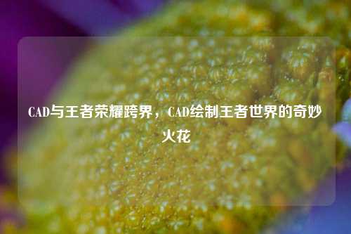 CAD与王者荣耀跨界，CAD绘制王者世界的奇妙火花