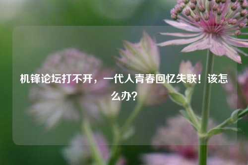 机锋论坛打不开，一代人青春回忆失联！该怎么办？