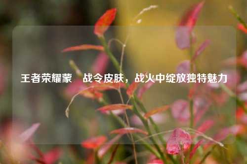王者荣耀蒙犽战令皮肤，战火中绽放独特魅力