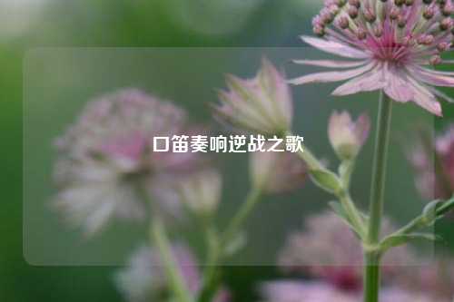 口笛奏响逆战之歌