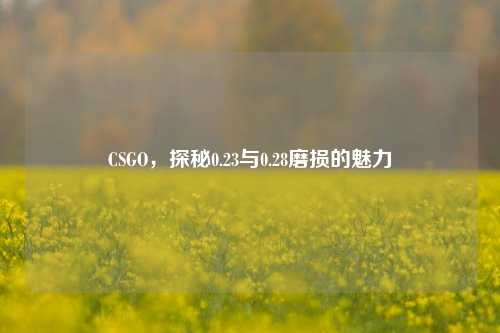 CSGO，探秘0.23与0.28磨损的魅力