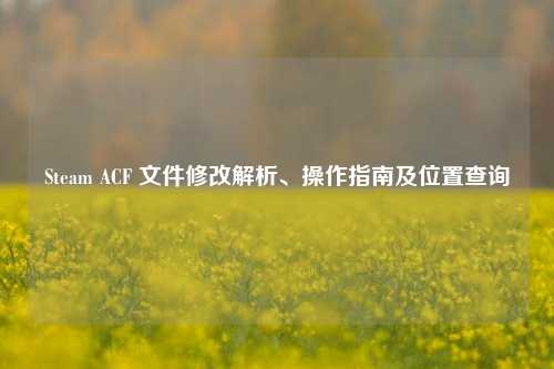 Steam ACF 文件修改解析、操作指南及位置查询
