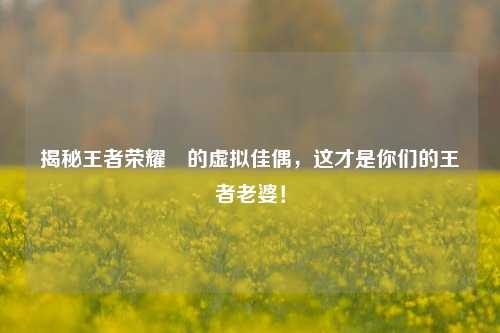 揭秘王者荣耀暃的虚拟佳偶，这才是你们的王者老婆！