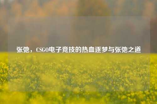张弛，CSGO电子竞技的热血逐梦与张弛之道