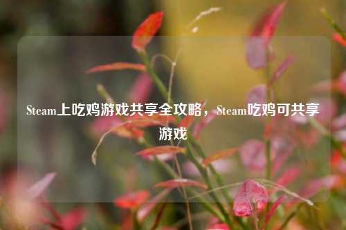 Steam上吃鸡游戏共享全攻略，Steam吃鸡可共享游戏