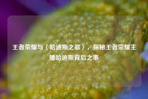 王者荣耀与〈哈迪斯之歌〉,探秘王者荣耀主播哈迪斯背后之事