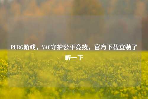 PUBG游戏,VAC守护公平竞技,官方下载安装了解一下