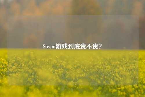 Steam游戏到底贵不贵？