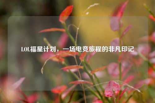 LOL福星计划,一场电竞旅程的非凡印记