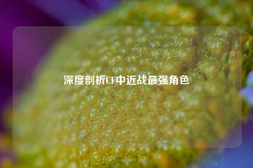 深度剖析CF中近战最强角色