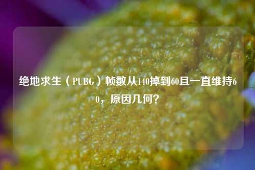 绝地求生(PUBG)帧数从140掉到60且一直维持60,原因几何?