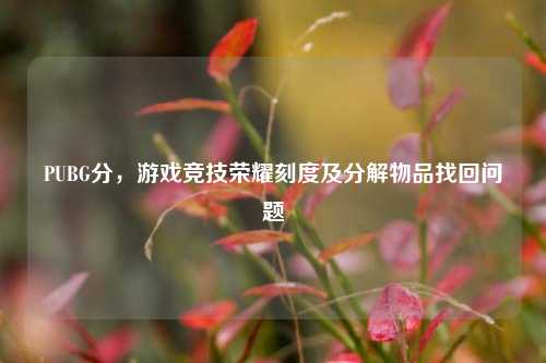 PUBG分，游戏竞技荣耀刻度及分解物品找回问题