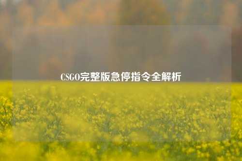 CSGO完整版急停指令全解析