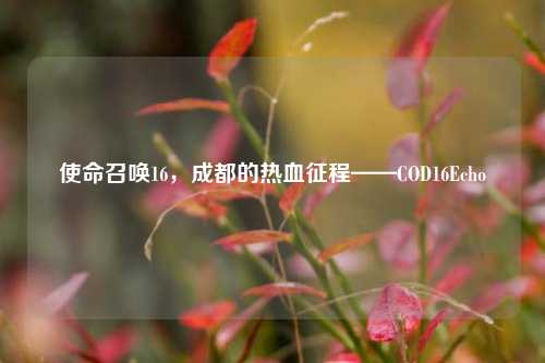 使命召唤16，成都的热血征程——COD16Echo