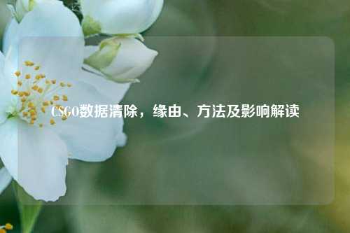 CSGO数据清除,缘由、方法及影响解读