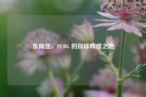 东南亚，PUBG 的别样辉煌之地