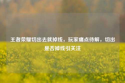 王者荣耀切出去就掉线,玩家痛点待解,切出是否掉线引关注