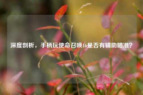 深度剖析,手柄玩使命召唤16是否有辅助瞄准?