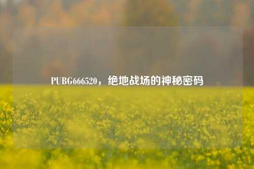PUBG666520,绝地战场的神秘密码